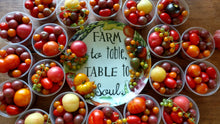 Load image into Gallery viewer, Vegetable Plants - Tomatoes