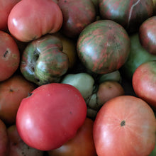 Load image into Gallery viewer, Vegetable Plants - Tomatoes