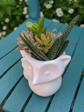Load image into Gallery viewer, Planter - Foxy Lady
