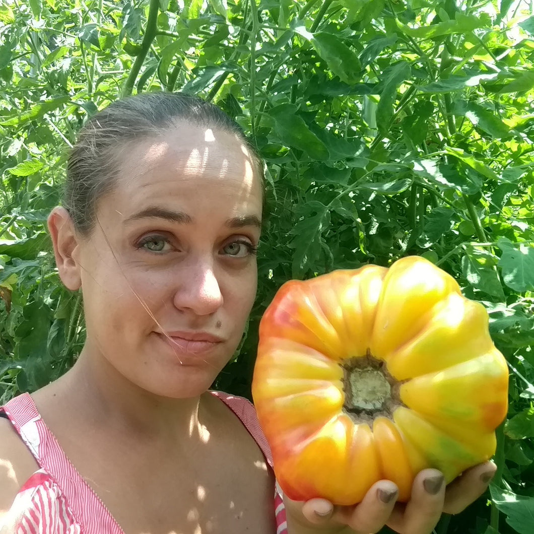 Vegetable Plants - Tomatoes